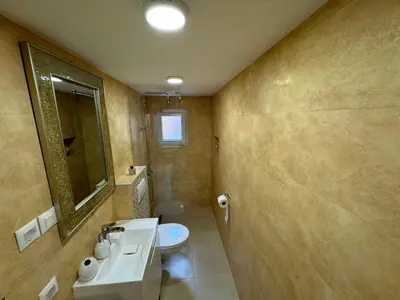a bathroom with a sink and a toilet and a mirror at Apartman City Zeleznik in Belgrade