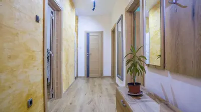 a hallway with a potted plant on a wooden table at Lukas Apartment in Belgrade