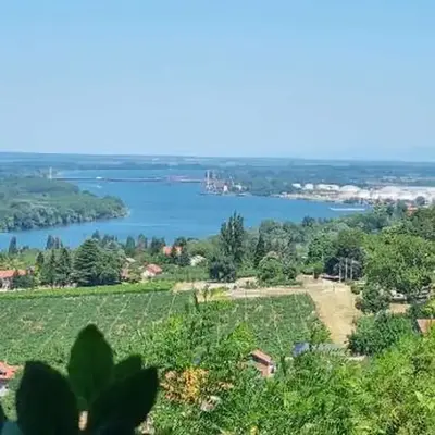 View Point House