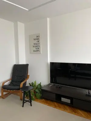 a living room with a chair and a flat screen tv at Apartment Sofia in Belgrade