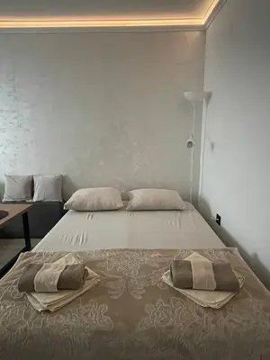 a bedroom with a bed with two pillows on it at Apartman Silver Bg in Kneževac