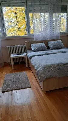 two beds in a bedroom with two windows and a rug at Vist 3 apartment in Belgrade