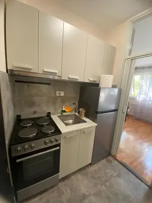 a kitchen with a stove and a sink and a refrigerator at Vist 3 apartment in Belgrade