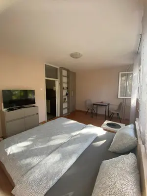 a bedroom with a large bed and a television at Vist 3 apartment in Belgrade
