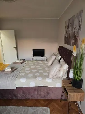 a bedroom with a large bed and a television at Nadja City Center in Belgrade
