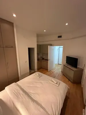 a bedroom with a white bed and a television at City Centre Retreat Palmoticeva Studio in Belgrade