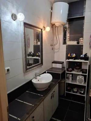a bathroom with a sink and a mirror at Vila Tara in Belgrade