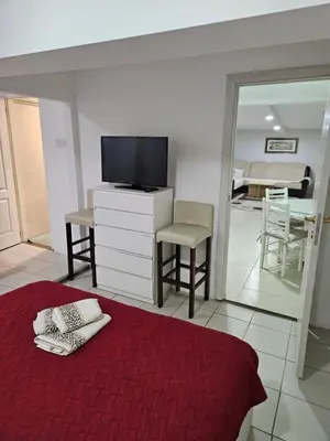 a bedroom with a tv and a bed with a red blanket at Atina in Žarkovo