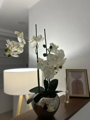 a vase filled with white flowers on a table at Apartman Cristal LUX in Surčin