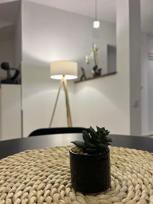a potted plant sitting on top of a table at Apartman Cristal LUX in Surčin