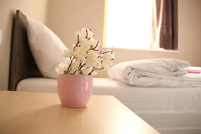 a pink vase with white flowers sitting on a table at Downtown Skadarlija in Belgrade