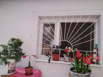 a window with potted plants sitting on a ledge at Home in flowers in Belgrade