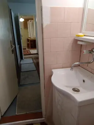 a bathroom with a sink and a walk in shower at Home in flowers in Belgrade