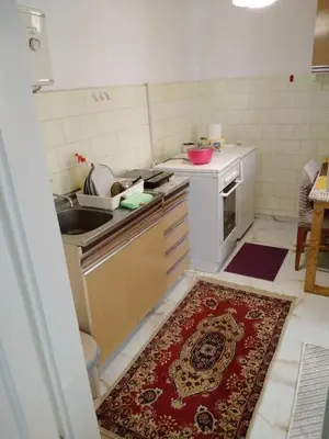 a kitchen with a stove and a sink and a rug at Home in flowers in Belgrade
