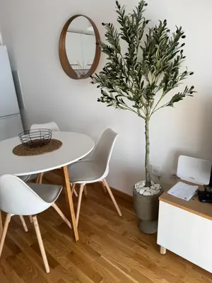 a table and chairs and a potted tree in a room at Apartman Pazova in Stara Pazova