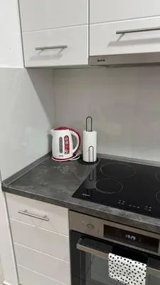 a kitchen with a stove and a toaster on a counter at Apartman Pazova in Stara Pazova