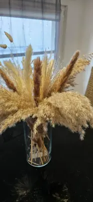a vase with a bunch of feathers in it at TeaBG in Belgrade