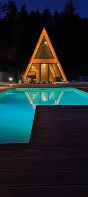 a house with a swimming pool at night at Villa SS Black Fruška Gora in Čortanovci