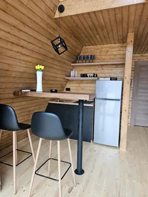 a kitchen with a refrigerator and chairs in a room at Villa SS Black Fruška Gora in Čortanovci