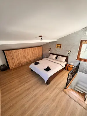 a bedroom with a large bed in a room at Johnny Apartment in Belgrade