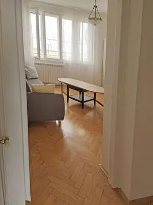 a living room with a couch and a table at Central apt Jovanova in Belgrade