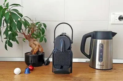 affeepot and a tea kettle on a counter with a plant at Central apt Jovanova in Belgrade