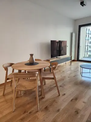 a dining table and chairs in a living room at Novi Dorcol Big in Belgrade