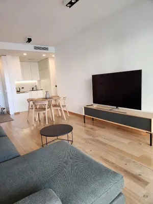 a living room with a large flat screen tv at Novi Dorcol Big in Belgrade