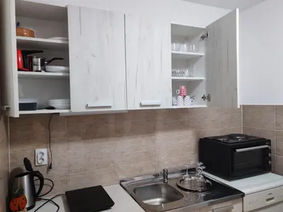 a kitchen with a sink and a microwave at Sveti Luka- OBRADOVIĆ SOKAK 41 in Šimanovci