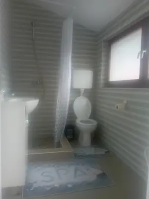 a bathroom with a toilet and a window at AlejaPark in Železnicka Stanica Inđija Selo