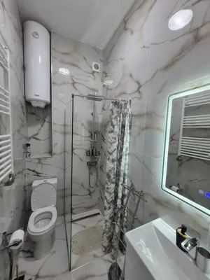 a bathroom with a toilet and a sink and a mirror at Authentic Belgrade Centre - 7 suites for 15 Guests, with patios in courtyard for smokers in Belgrade