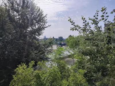 a view of a park with trees and a street at Tesla apartment - lovely 2 bedroom apartment in Belgrade