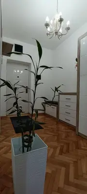 a room with a vase with a plant in it at Venera Lux Apartman in Zemun