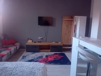 a living room with a couch and a table at AlejaPark Inđija in Železnicka Stanica Inđija Selo