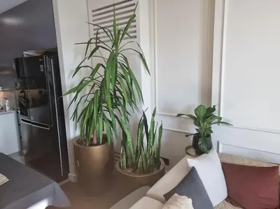 a living room with two potted plants and a couch at Exclusive apartman Belgrade Waterfront Terraces - Unique in Belgrade