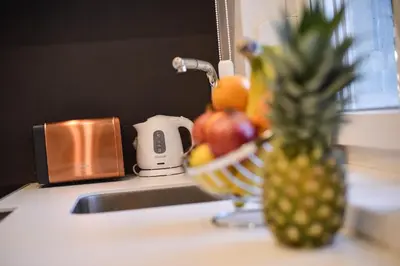 a pineapple sitting on a kitchen counter next to a sink at Friendly Home ap Balkan-inn in Belgrade