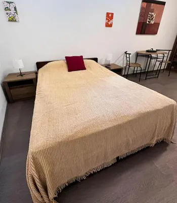 a bedroom with a large bed with a brown blanket at Lilly's Apartment in Belgrade