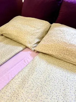 two pillows sitting on top of a bed at Surya in Belgrade