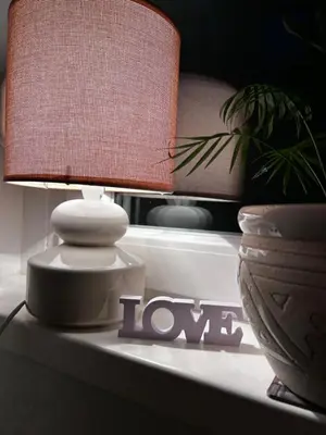 a lamp on top of a table with a plant at Surya in Belgrade