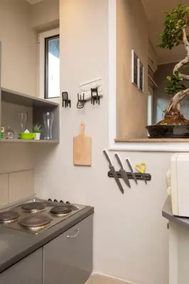 a kitchen with a stove and a counter top at Njegoševa Presidential Suite Vračar in Belgrade