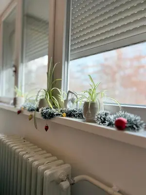 a window sill with potted plants and a radiator at Surya in Belgrade