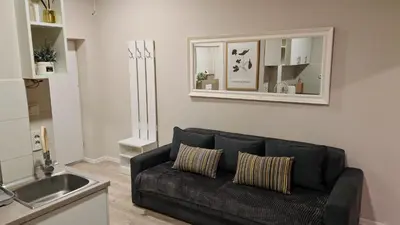 a living room with a black couch and a sink at AG Cozy Apartment in Belgrade