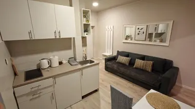 a kitchen and a living room with a couch at AG Cozy Apartment in Belgrade
