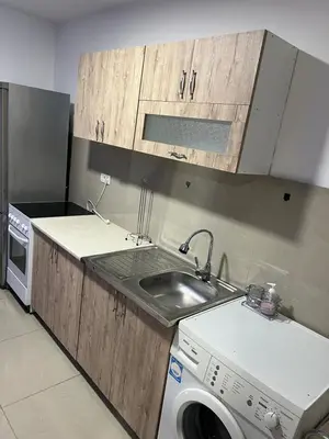 a kitchen with a sink and a washing machine at Melvina in Pančevo