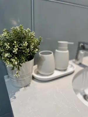 a bathroom counter with a potted plant and two cups at Dockside Belgrade Waterfront in Belgrade