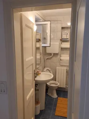 a small bathroom with a sink and a toilet at Pevac, Rooster, apartment in Belgrade
