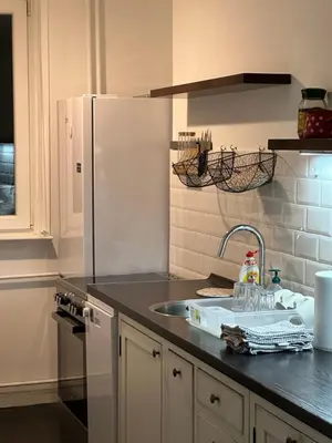 a kitchen with a sink and a refrigerator at Kalenić Sky in Belgrade