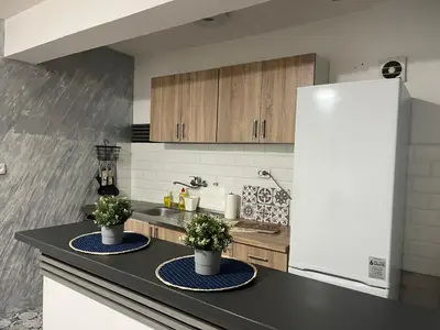 a kitchen with two potted plants on a counter at Stan ARS in Belgrade