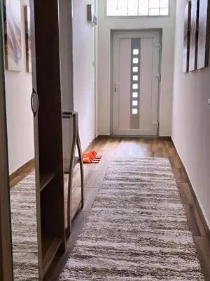 a hallway with a door and a rug at Stan ARS in Belgrade