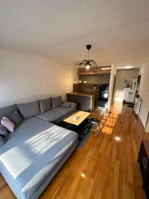 a living room with a couch and a kitchen at Apartman Tiffany in Belgrade